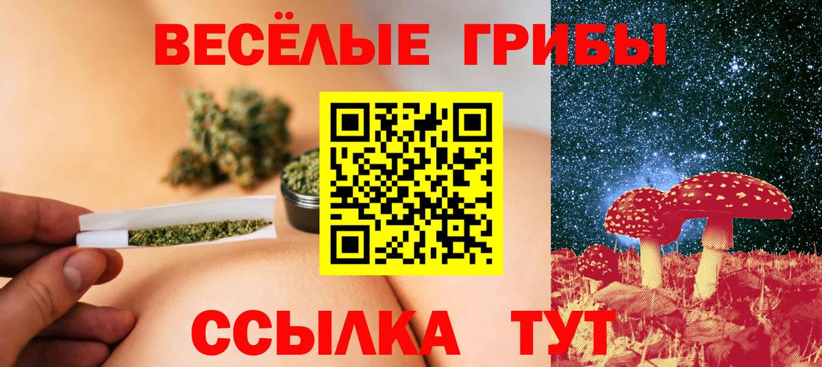 Псилоцибиновые грибы Cubensis  Вход с VPN  Тында 