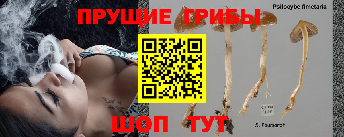 Галлюциногенные грибы ЛСД Тында