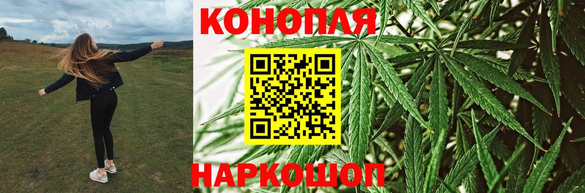 Тында  Шишки марихуана ГИДРОПОН  Конопля тримм  Вход с VPN  Конопля White Widow 